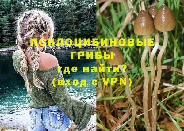 метадон Новозыбков