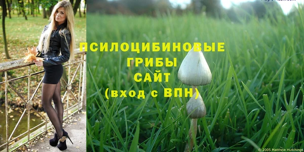 спайс Абаза