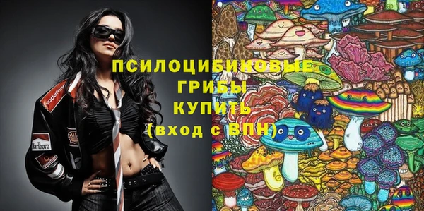 герыч Новодвинск